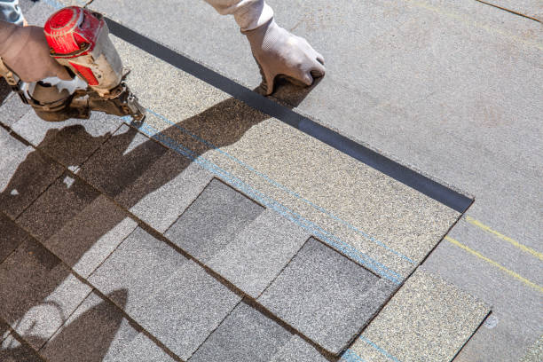 Best Metal Roofing Contractor  in Dunkirk, NY